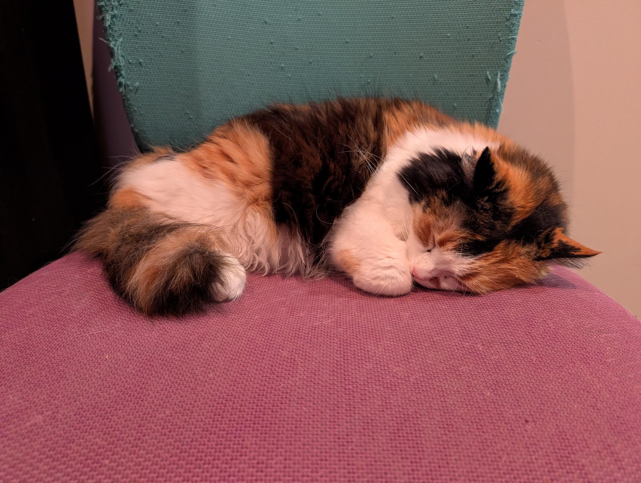 Chloe